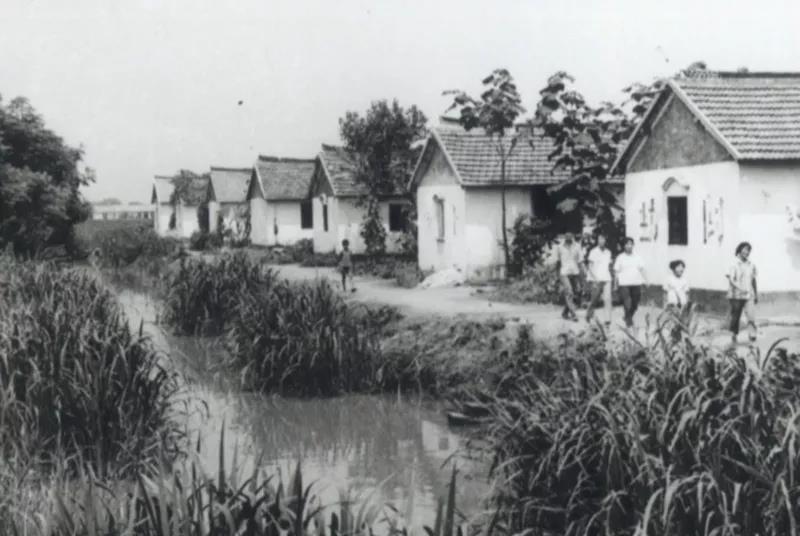 70ĩy(tng)һҎ(gu)L(zhng)^RYψD